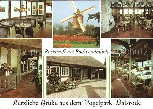 Walsrode Lueneburger Heide Rosencafe mit Bockwindmuehle Gastraeume Kat. Walsrode