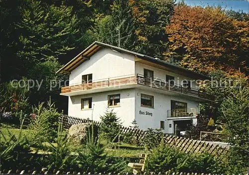 Holzhausen Huenstein Haus Silberg am Waldschwimmbad Kat. Dautphetal
