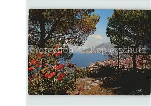 Sorrento Campania Panorama Kat. Sorrento