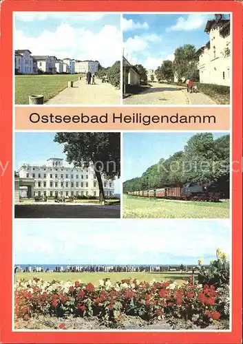 Heiligendamm Ostseebad Molli Haus Mecklenburg  Kat. Bad Doberan