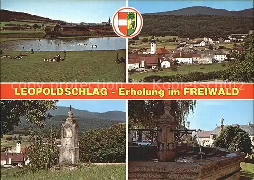 Leopoldschlag Freiwald Brunnen Naturbad  / Leopoldschlag /Muehlviertel
