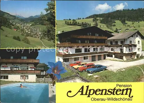 Wildschoenau Tirol Pension Alpenstern / Kufstein /Tiroler Unterland