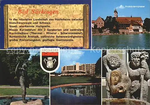 Bad Saeckingen Fridolinsmuenster Kurklinik Narrenbrunnen Kat. Bad Saeckingen