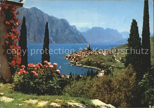 Malcesine Lago di Garda Gardasee Panorama Kat. Malcesine