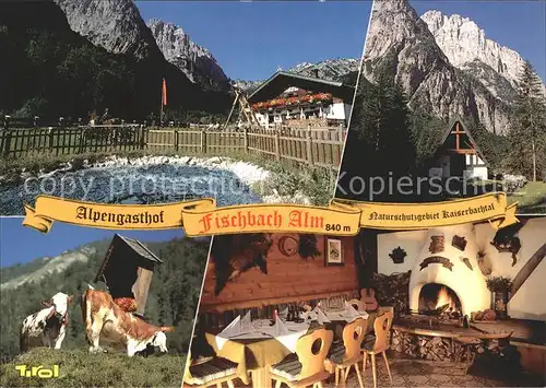 Kirchdorf Tirol Alpengasthof Fischbachalm Wilder Kaiser Kat. Kirchdorf in Tirol Wilder Kaiser