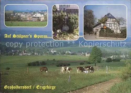 Grossolbersdorf Blick von der Stuelpnerhoehe Grab Gasthaus Zur Linde Viehweide Kuehe / Grossolbersdorf /Erzgebirgskreis LKR