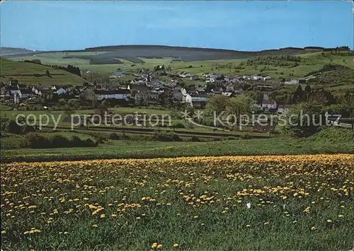 Stadtkyll Panorama Landschaft Kat. Stadtkyll