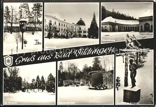 Bad Wildungen Vogelhaus Badehotel Wandelhalle Nymphe Kurpark Konzertpavillon im Winter Kat. Bad Wildungen