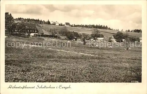 Schellerhau  Kat. Altenberg