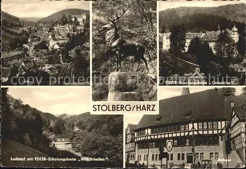 Stolberg Harz Erholungsheim Comenius Ludetal Waldfrieden Rathaus Kat. Stolberg Harz