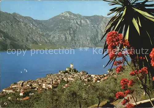 Malcesine Lago di Garda Stadtansicht Kat. Malcesine