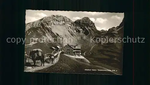 Rappenseehuette Linkerskopf Hohes Licht Kat. Oberstdorf