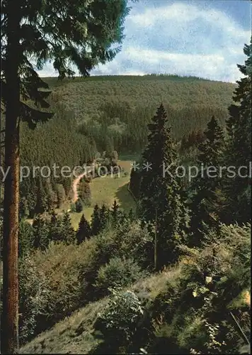 Willingen Sauerland Blick von der Muehlenkopfschanze Kat. Willingen (Upland)