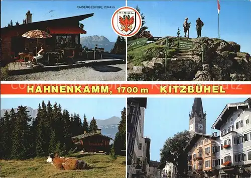 Kitzbuehel Tirol Hahnenkamm Kaisergebirge  Kat. Kitzbuehel