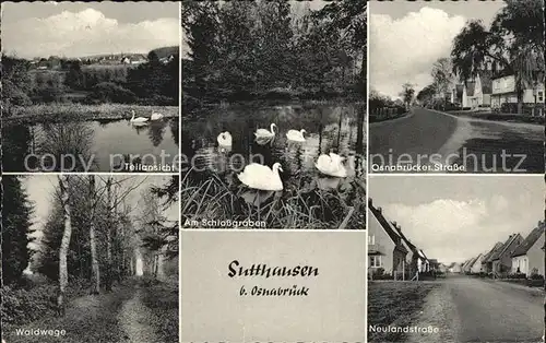Sutthausen Osnabruecker Strasse Neulandstrasse Waldwege Kat. Osnabrueck