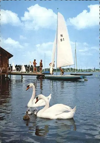 Attersee Schwaene und Segelboote Kat. Attersee