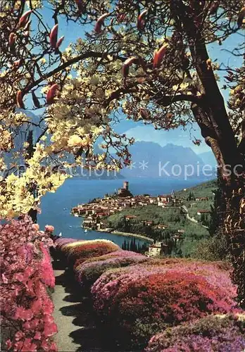 Malcesine Lago di Garda Fr?hling Kat. Malcesine