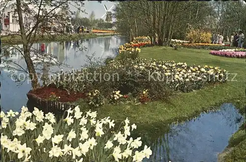 Lisse Keukenhof  / Lisse /