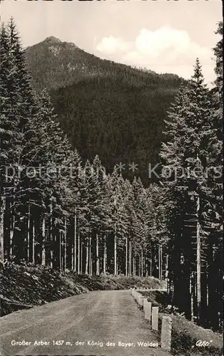 Grosser Arber mit Bayerischer Wald Kat. Bayerisch Eisenstein