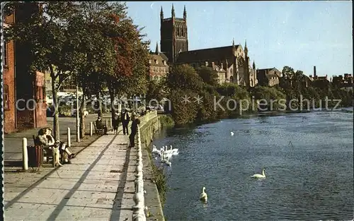 Worcester Worcester Cathedral form the River Severn Kat. Worcester