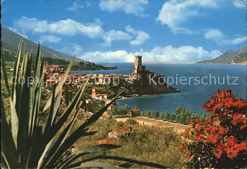 Malcesine Lago di Garda  Kat. Malcesine