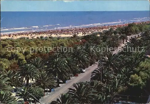 San Benedetto Del Tronto Viale delle Palme e spiaggia Kat. San Benedetto Del Tronto