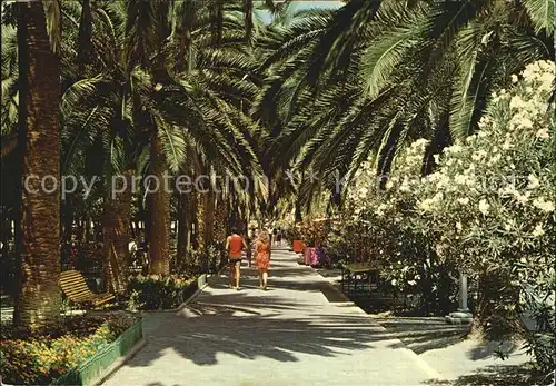 San Benedetto Del Tronto Viale delle Palme Kat. San Benedetto Del Tronto