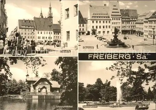 Freiberg Sachsen Obermarkt Scheringerpark Schwanenschloesschen Kat. Freiberg