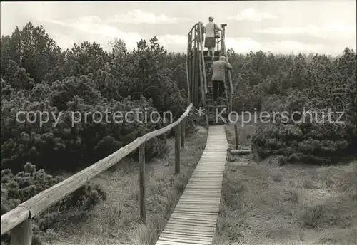 Zinnwald Georgenfeld Im Hochmoor Kat. Altenberg