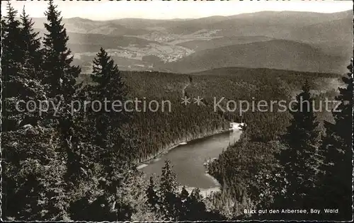 Arbersee  Kat. Bayerisch Eisenstein