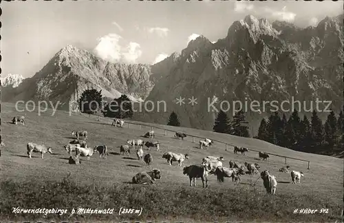 Mittenwald Karwendel Tirol Kuhwiese Kat. Schwaz