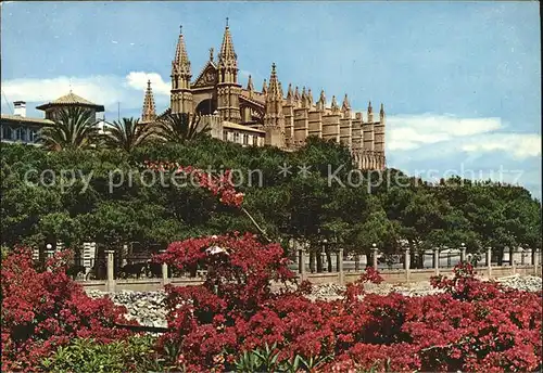Palma de Mallorca Catedral Kat. Palma de Mallorca