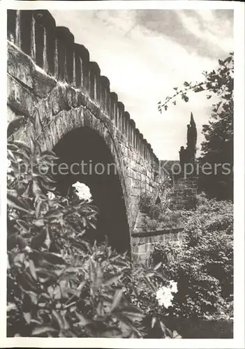 Tetschen Bodenbach Boehmen alte Polzenbruecke Kat. Decin