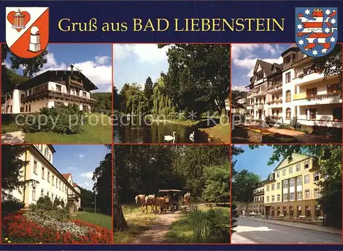 Bad Liebenstein Haus Feodora Elisabethpark Kurheim Edelweiss Kurverwaltung Stilles Tal Kurklinik Kat. Bad Liebenstein