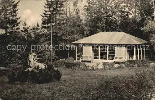 Baerenfels Erzgebirge Kurort Kurpark Kat. Altenberg