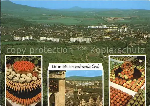 Litomerice Leitmeritz Nordboehmen Panorama Obst und Gemuesemarkt Kat. Litomerice