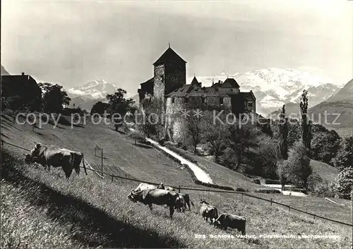 Vaduz Schloss Viehweide Kuehe Alpenpanorama Kat. Vaduz