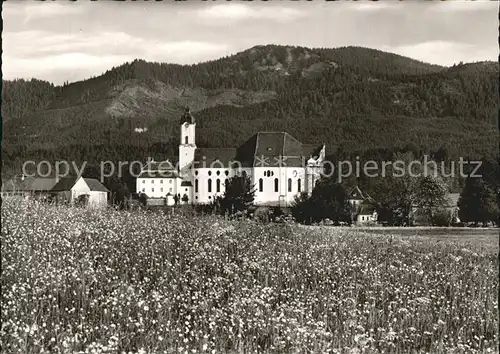 Steingaden Oberbayern Die Wies Wallfahrtskirche ehem. Kloster Blumenwiese Huber Karte Nr 7040 Kat. Steingaden