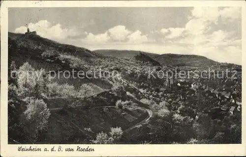 Weinheim Bergstrasse die Zweiburgenstadt von Norden gesehen Kat. Weinheim