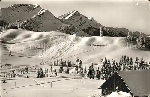 Immenstadt Allgaeu Alpe Seifenmoos mit Hochgratgruppe Kat. Immenstadt i.Allgaeu