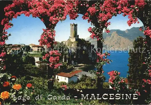 Malcesine Lago di Garda Panorama  Kat. Malcesine