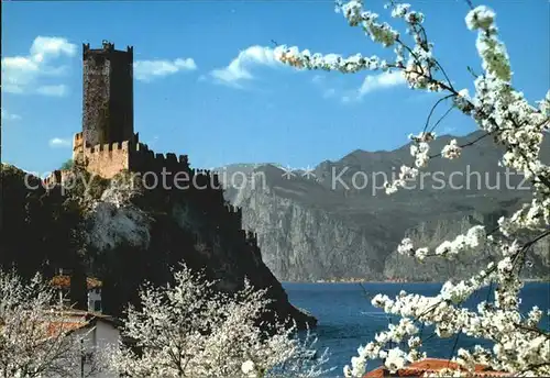 Malcesine Lago di Garda Il Castello Scaligero Primavera Kat. Malcesine