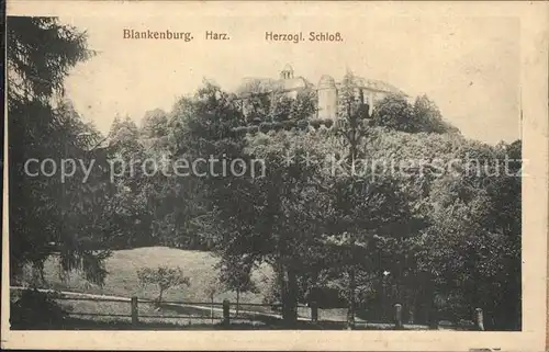 Blankenburg Harz Herzogliches Schloss Kat. Blankenburg