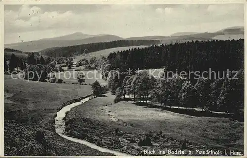 Mandelholz Harz Blick ins Bodetal Kat. Elend Harz