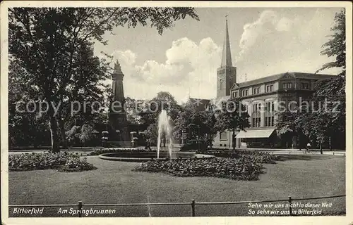 Bitterfeld Springbrunnen Kriegerdenkmal Kirche Kat. Bitterfeld