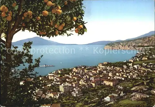 Sorrento Campania Panorama e Punta Scutari Kat. Sorrento