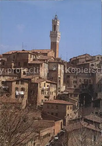 Siena Torre del Mangia e Panorama Kat. Siena