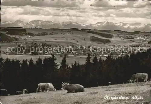 Oberguenzburg Panorama Viehweide Kat. Oberguenzburg