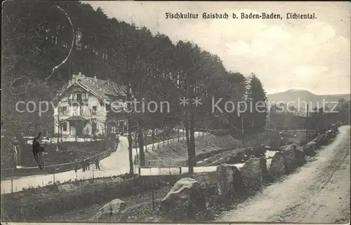 Gaisbach Baden-Baden Hotel Fischkultur / Baden-Baden /Baden-Baden Stadtkreis