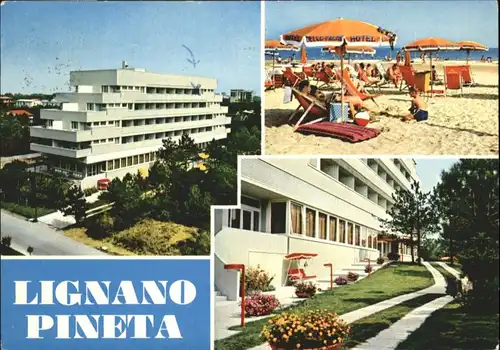 Lignano Pineta Lignano Pineta Hotel delle Palme x / Lignano /